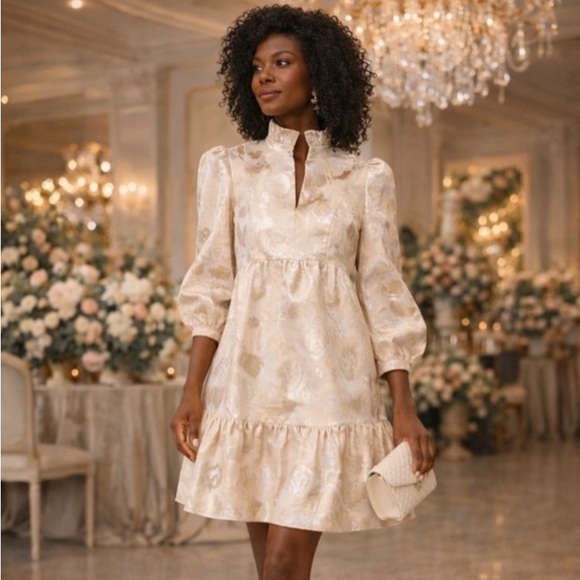 Tuckernuck Dresses & Skirts - Tuckernuck champagne Fil Coupe Palmerston Dress